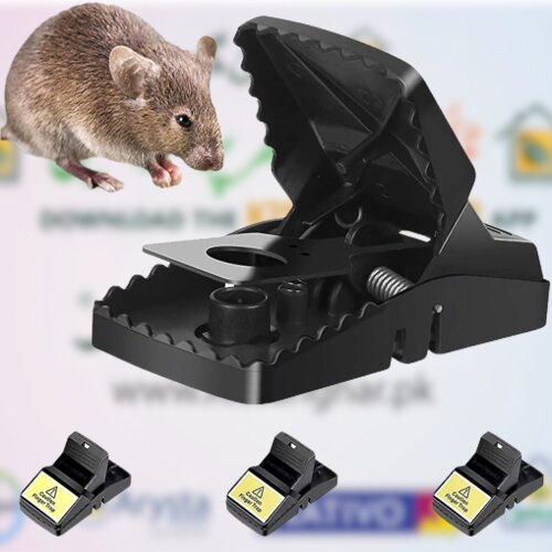 Mouse Trap Mice Catcher
